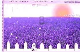 全民烧脑3去广告版
