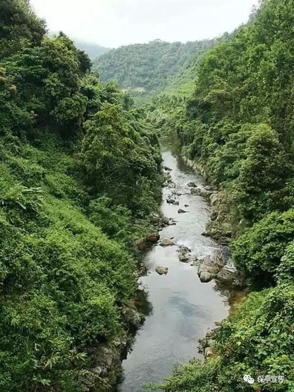 燃烧吧大脑装瓶子游戏